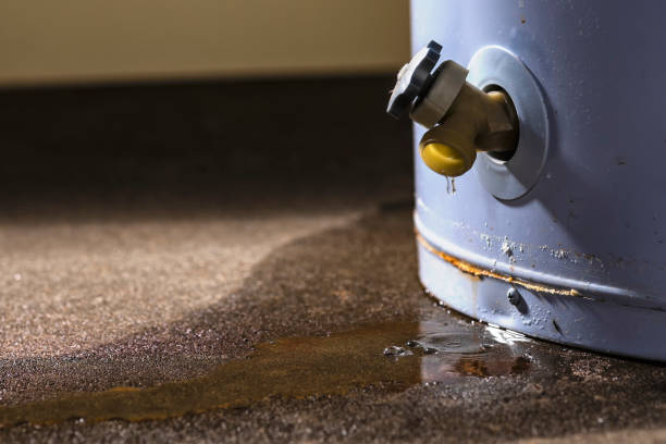 Best 24/7 water damage repair  in Lone Pine, CA