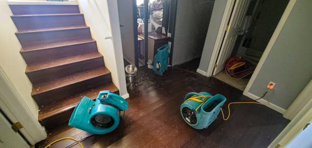 Best Emergency water damage restoration  in Lone Pine, CA