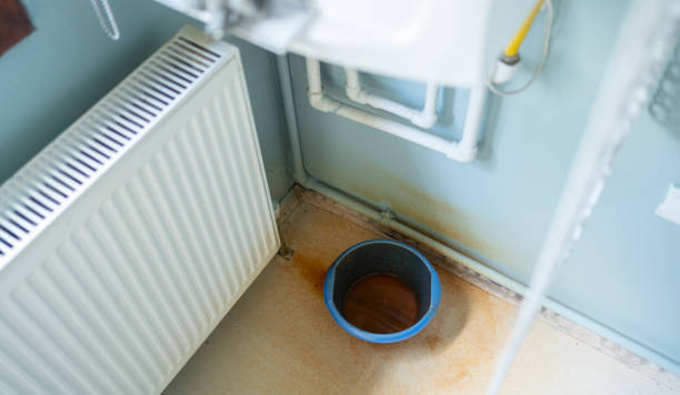 Best Ceiling water damage repair  in Lone Pine, CA