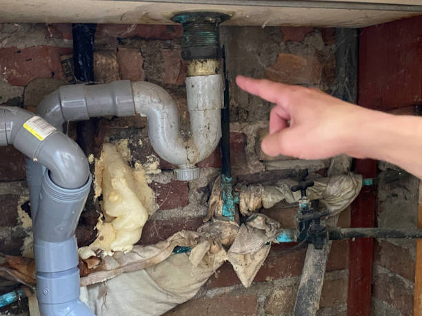 Reliable Lone Pine, CA Water damage restoration Solutions