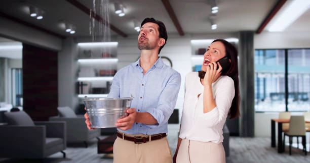 Best 24/7 water damage repair  in Lone Pine, CA