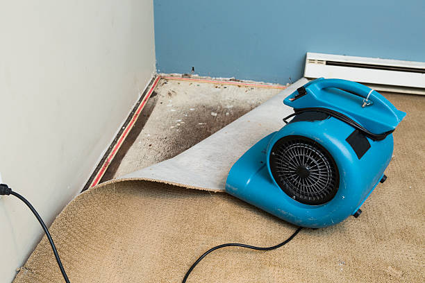 Best Water damage restoration cost  in Lone Pine, CA